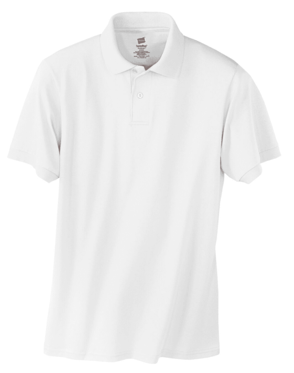 Hanes EcoSmart - 5.2-Ounce Jersey Knit Sport Shirt. 054X