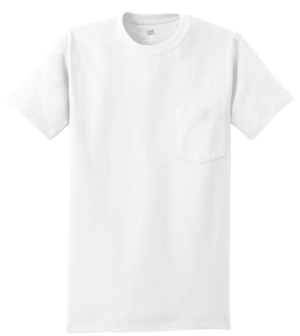 Hanes - Authentic 100%  Cotton T-Shirt with Pocket.  5590