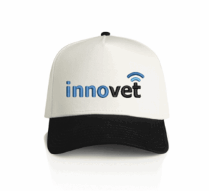 FRAME TWO-TONE CAP, ONE SIZE - AS-1165 - Innovet Electric