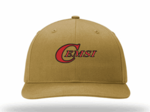 SOLID TWILL TRUCKER - 312  - Commercial Electric Motor