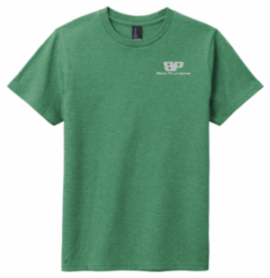 District Youth Very Important Tee - DT6000Y -Beis Plumbing