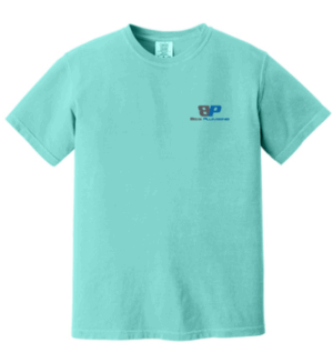 COMFORT COLORS  Heavyweight Ring Spun Tee - 1717 -Beis Plumbing