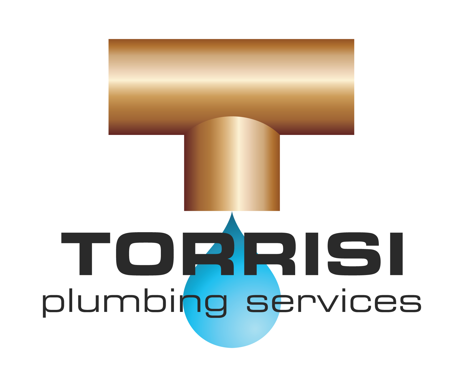 Swatch-Print-TorrisiPlumbing-1