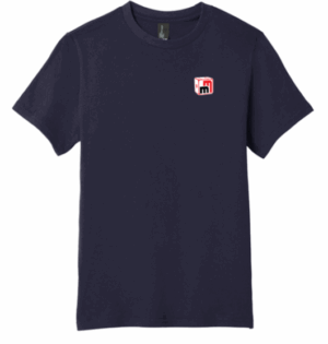 District Youth Very Important Tee - DT6000Y - Miniature Market