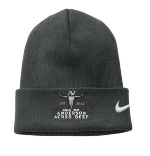 Nike Team Cuffed Beanie - NKFB6539 - Anderson Beef